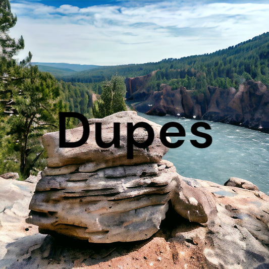 Dupes